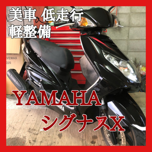 ☆安心の点検軽整備.動画☆低走行！美車！ 大人気 ヤマハ シグナスX☆マイルドな乗り味で乗りやすい車両！軽整備にて好調！ポリッシャーで磨きあげてます！