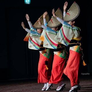 阿波おどりメンバー募集 京都 奈良