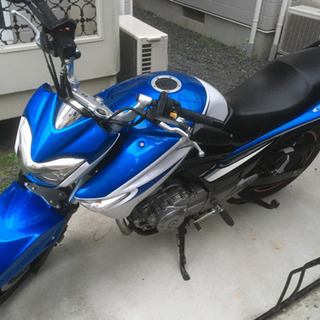 GSR250 すぐ乗れます！値下げしました！ | gckidstherapy.com.au