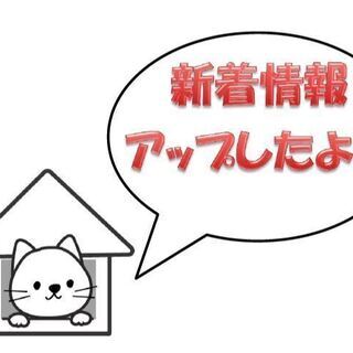 ✴速報✴3月決算大セール実施中！大幅値下げ通します！！名護市宮里