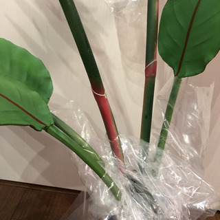 【新品】ストレリチアレギネ　リーフ付き　造花