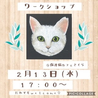 保護猫カフェで♪チョークアート体験(=^x^=)【残り一枠】