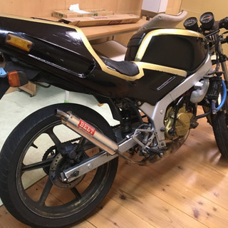 HONDA！！　ＮＳ―1 ns-1と交換希望！ zxも可能です！
