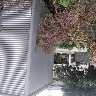値下げします。コンテナハウスお譲りします。