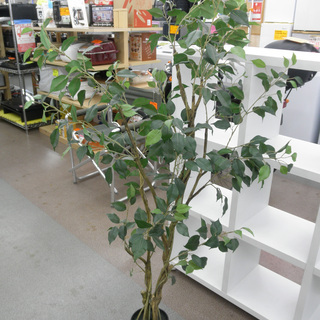 フェイクグリーン フィカス インテリア 観葉植物 高さ145cm...