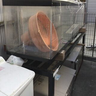 熱帯魚・大型魚用水槽・スタンド付き（配達可能）