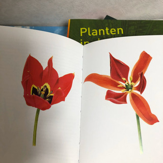 オランダで買った花と街づくりの本(英語&蘭語)