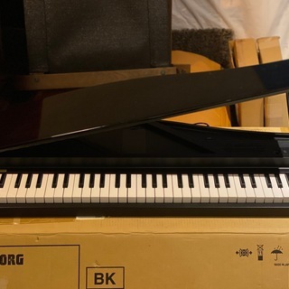 KORG MICRO PIANO 61鍵（黒）2012年購入