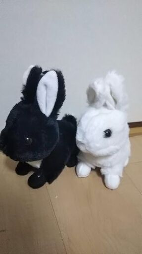 白うさぎ 黒うさぎ ぬいぐるみ2羽セット なっしー 十条のおもちゃ ぬいぐるみ の中古あげます 譲ります ジモティーで不用品の処分 白うさぎ 黒うさぎ ぬいぐるみ2羽セット なっしー 十条のおもちゃ ぬいぐるみ の中古あげます 譲ります ジモティーで不用品の処分
