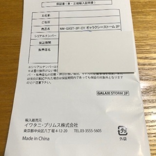 NEMO ギャラクシーストーム 2P NM-GXST-2P-CY プリムス 値下