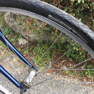 ブリジストンANCHOR CX500