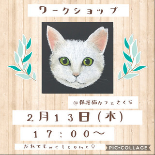 保護猫カフェで♪チョークアート体験【残り一枠】