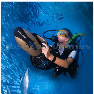 SALE！水中スクーター 世界最軽 SEA DOO 早い物勝ち！