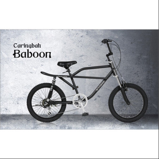 【最終値下げ】a.n.design works Caringbah Baboon