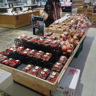 今が旬❗大粒で甘さたっぷりの苺🍓林ファーム🥕🥦 - 地元のお店