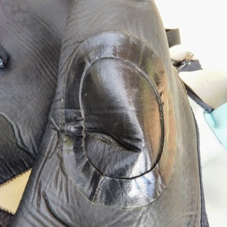 高級 ドライスーツ ソフトラジアル 裏起毛 170㎝ 26㎝ 備品もフルセット！代引き郵送可能！