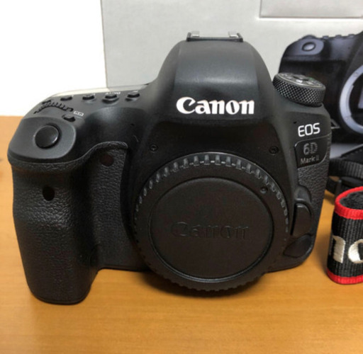 Canon 6D Mark II •  EF 24-105mm