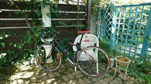 FOUCUS izalco ER1.0 国内30台限定車！