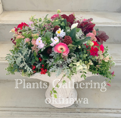 プランツギャザリング寄せ植えレッスン 琉球ギャザリスト 奥武山公園のガーデニングの生徒募集 教室 スクールの広告掲示板 ジモティー