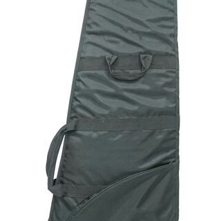 EDWARDS エドワーズ E-SE-108R LT グリーン ソフトケース付き エレキ