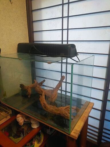 【大型水槽】75×45×45 ADAガラス水槽