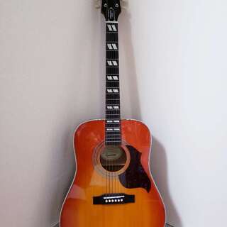 Epiphone Hummingbird Artist FC ア...