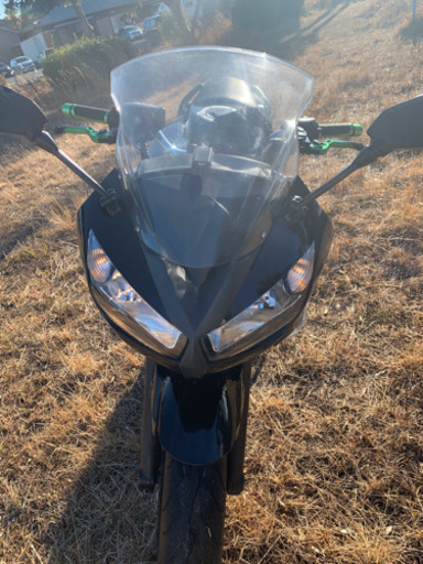 その他 Kawasaki Ninja