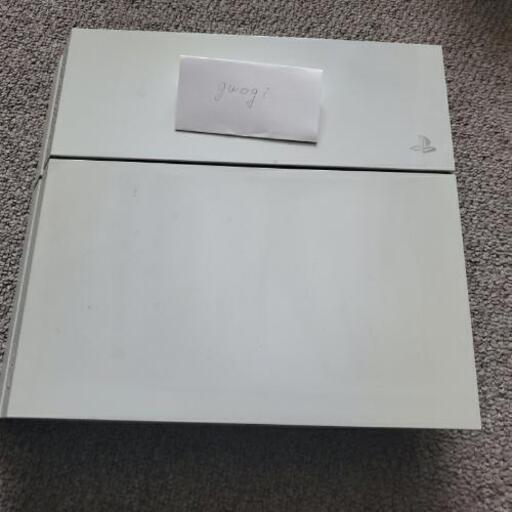 PS4 初期 SSD 500GB