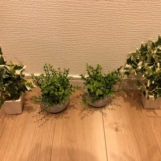 イミテーション観葉植物　新品　6点セット