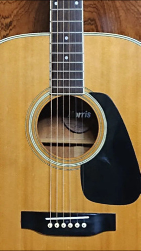 日本製 】Morris アコースティックギター【 MD－505 】 Morris