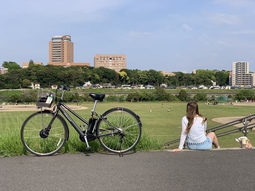 電動自転車　ブリジストンAlbelt 2019年モデル 2台