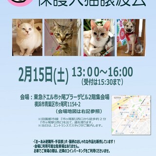 2/15（土）仔犬♪仔猫♪おーあみ避難所里親会開催！