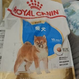 ロイヤルカナン 子犬柴犬