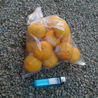柚子15ヶ　150円