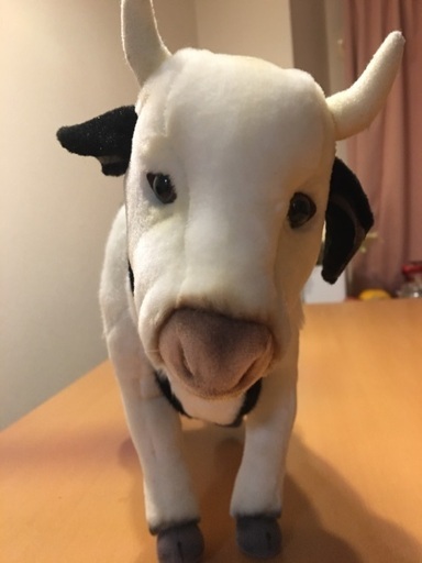 Hansa 牛 ぬいぐるみ メグティ 愛宕のおもちゃ ぬいぐるみ の中古あげます 譲ります ジモティーで不用品の処分 Hansa 牛 ぬいぐるみ メグティ 愛宕のおもちゃ ぬいぐるみ の中古あげます 譲ります ジモティーで不用品の処分