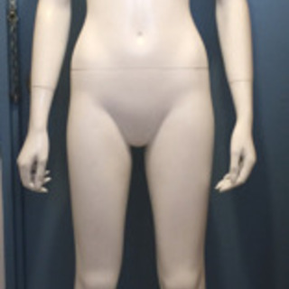 マネキン ボディ 店舗用 ショールームに