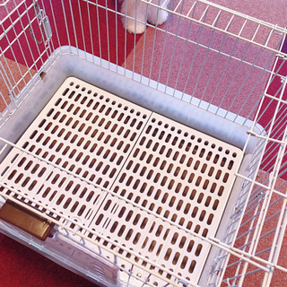 うさぎ モルモット フェレット 小動物ケージ 引き出しトレー マシェリ 石狩太美のその他の中古あげます 譲ります ジモティーで不用品の処分 うさぎ モルモット フェレット 小動物ケージ 引き出しトレー マシェリ 石狩太美のその他の中古あげます 譲ります ジモティーで不用品の処分