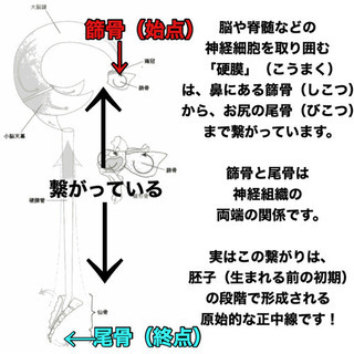 全てのスポーツへ応用できる身体操作トレーニング！ - 教室・スクール