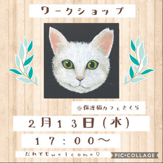 残り一枠！保護猫カフェでチョークアート♪