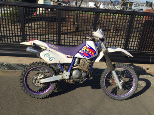 終了 TT250R 4GY 実動 埼玉より