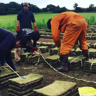 【日払い、完全歩合制】芝生の結束スタッフ募集