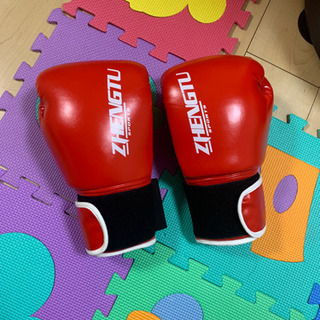 掛け軸 青山芳友 富獄松鯉図 絹本 希少 軸装 茶道具 掛軸 美品 です。