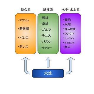 超短期集中！　クロール２５M　泳げるようになろう！