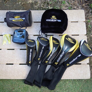 ☆美品☆コブラ　エナメルキャディバッグ　ツアーモデル☆