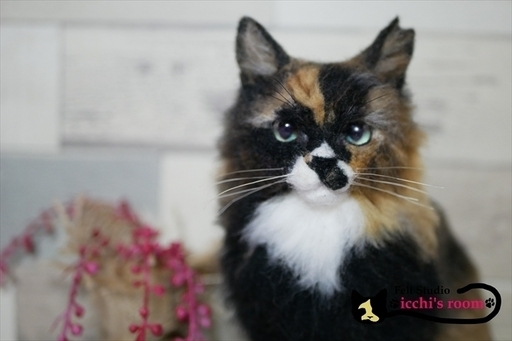 Icchi S Room リアル犬 猫 人形お作りします 羊毛フェルト 犬のオーダー 猫のオーダー ペット ぬいぐるみ リアル ペット 世界樹 苫小牧のペットの無料広告 無料掲載の掲示板 ジモティー