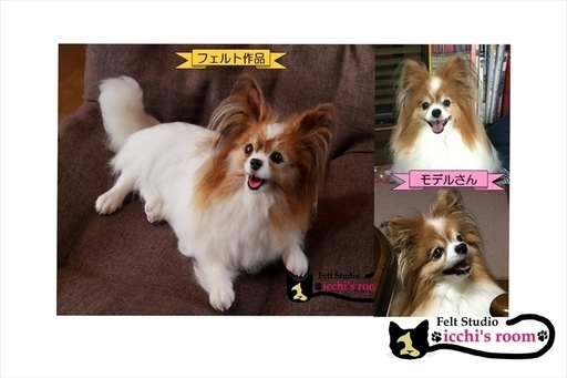 Icchi S Room リアル犬 猫 人形お作りします 羊毛フェルト 犬のオーダー 猫のオーダー ペット ぬいぐるみ リアル ペット 世界樹 苫小牧のペットの無料広告 無料掲載の掲示板 ジモティー Icchi S Room リアル犬 猫 人形お作りします 羊毛フェルト 犬のオーダー 猫のオーダー ペット ぬいぐるみ リアル ペット 世界樹 苫小牧のペットの無料広告 無料掲載の掲示板 ジモティー