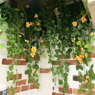 観葉植物 造花 壁掛けｾｯﾄ　譲ります