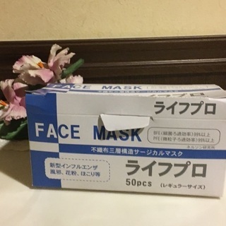新品☆ 医療現場で使用されているマスク  2種類　普通、小さめサ...