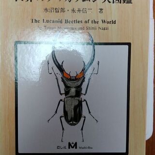 世界のクワガタムシ大図鑑】中古・美品 - その他