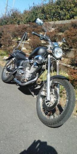 ビラーゴ250　(2)